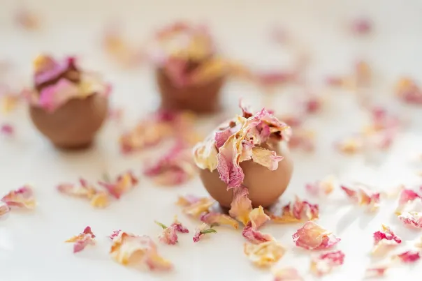 JokerBet Casino Android/iOS aplikacija